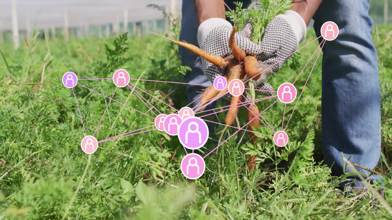 Man harvesting carrots with dotted gloves on farm featuring animated yield chart and icon overlays