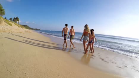 turistas caminando en la playa 4k