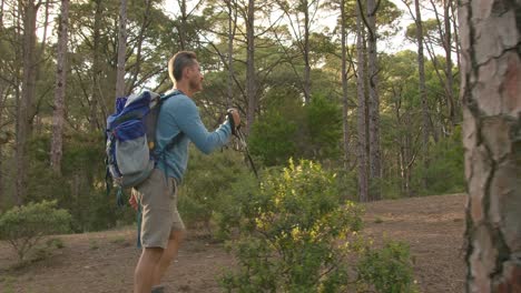 Male-hiker-walking-in-forest