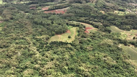 lush forest revealed mount rotui view from belvedere lookout, moorea island, french polynesia
