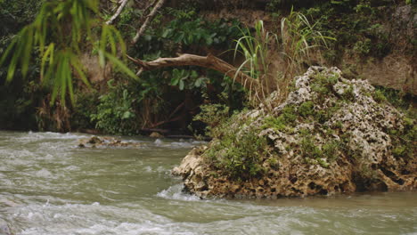 fast flowing stream on rocky river at forest in rio tanama, puerto rico