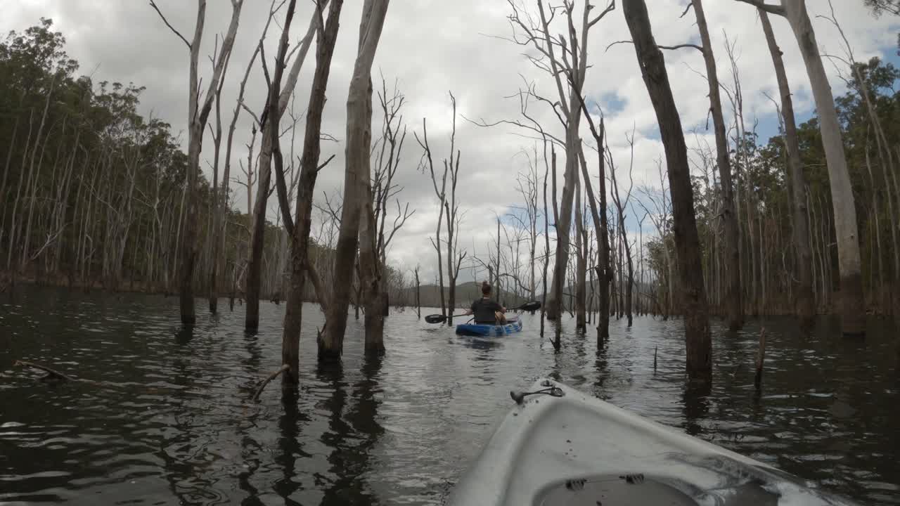 hembra en un kayak remando a través de árboles muertos en un bosque inundado