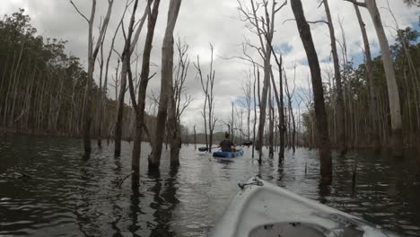 female in a kayak paddling through dead trees in a flooded forest