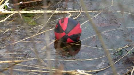 concept of depressive mood, depression. forgotten ball in garden idea of loneliness, selective focus. lone ball had frozen into ice in the cold wind in early spring or late fall. ball lies behind a metal mesh as a prisoner. surrounded by a dry last year's