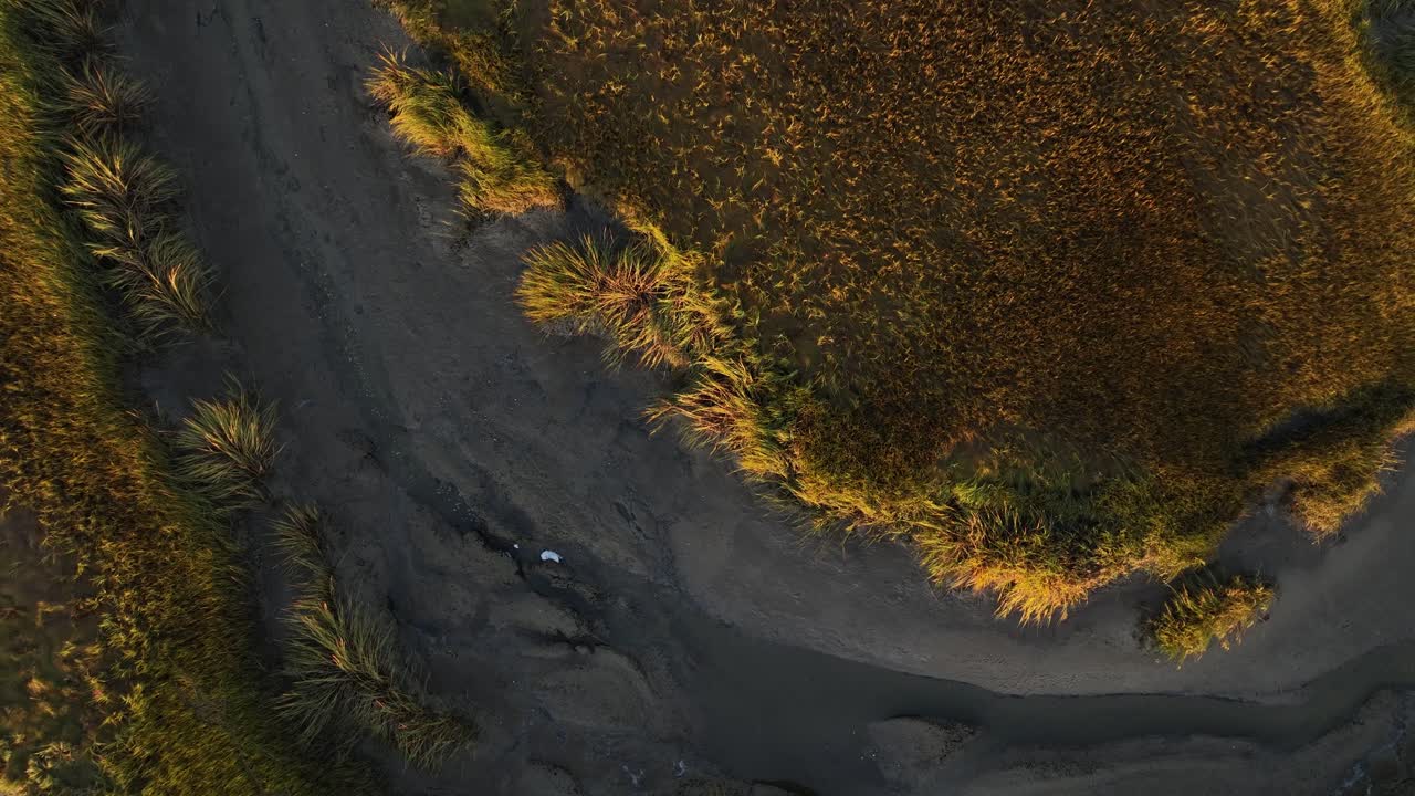 Ripresa aerea dall'alto di una palude salmastra durante l'alba a Cape Cod, Barnstable, Massachusetts, USA.