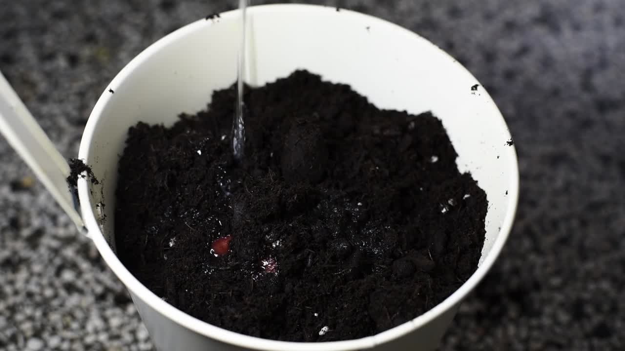 지그재그 라인의 흰색 화분에 화분 흙에 물주기