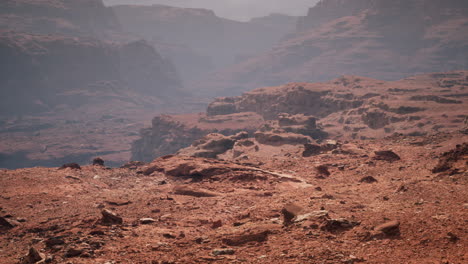 Grand-Canyon-in-Arizona-at-sunny-day