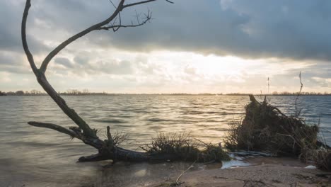 time lapse of sea tide washing ashore over old tree branch on beach, slider