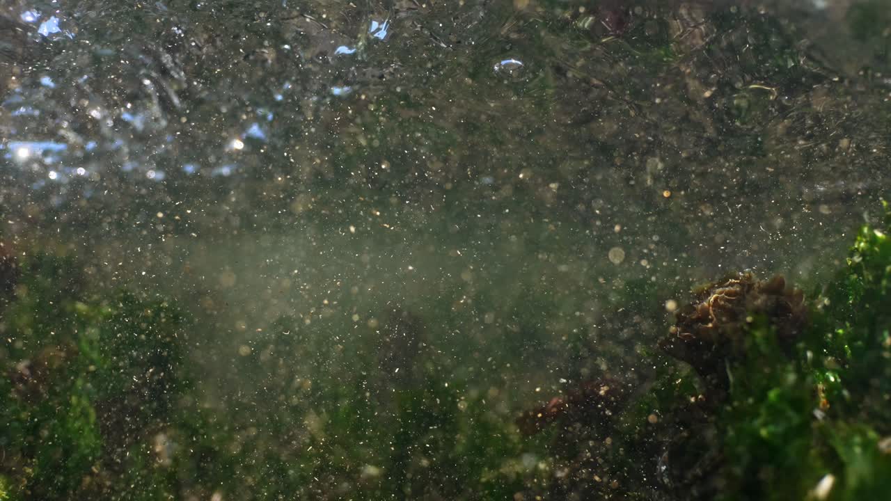 Underwater Waves and Sediment