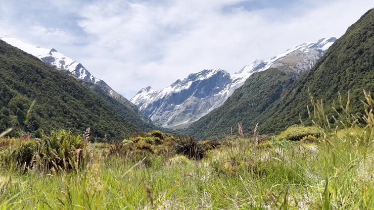 Panoramica valle alpina con lussureggiante vegetazione autoctona che conduce a cime innevate in Nuova Zelanda. Catturata in una giornata di sole splendente, mostra la bellezza mozzafiato dell'Isola del Sud.