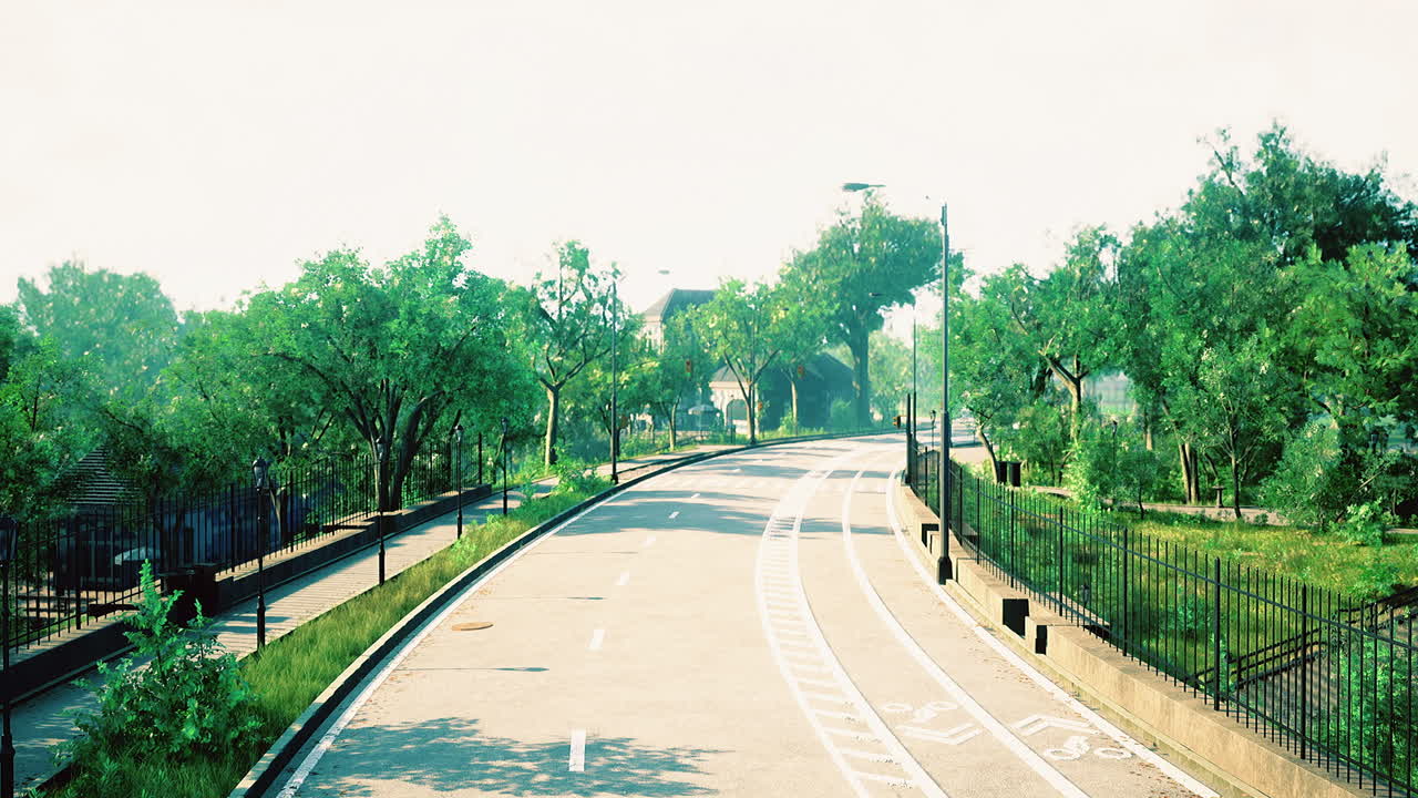 Scenic empty road surrounded by lush greenery under bright sunlight