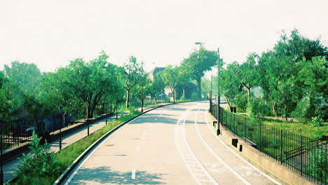 scenic empty road surrounded by lush greenery under bright sunlight