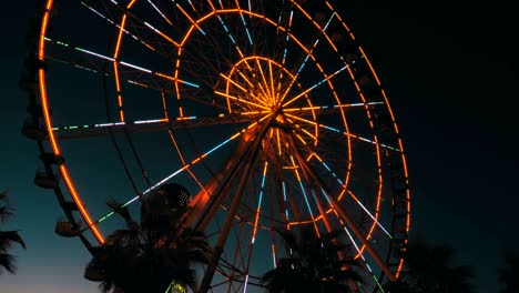 luces de la rueda gigante por la noche y palmeras