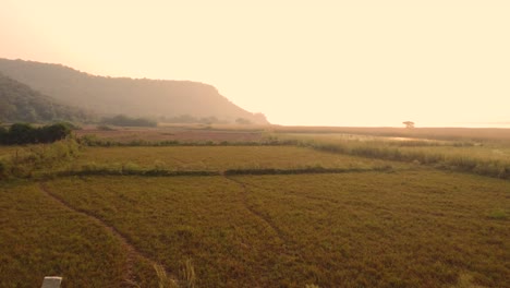 Toma-Aérea-De-Un-Drone-De-Un-Campo-De-Cultivo-En-Una-Brumosa-Mañana-Dorada-En-La-India