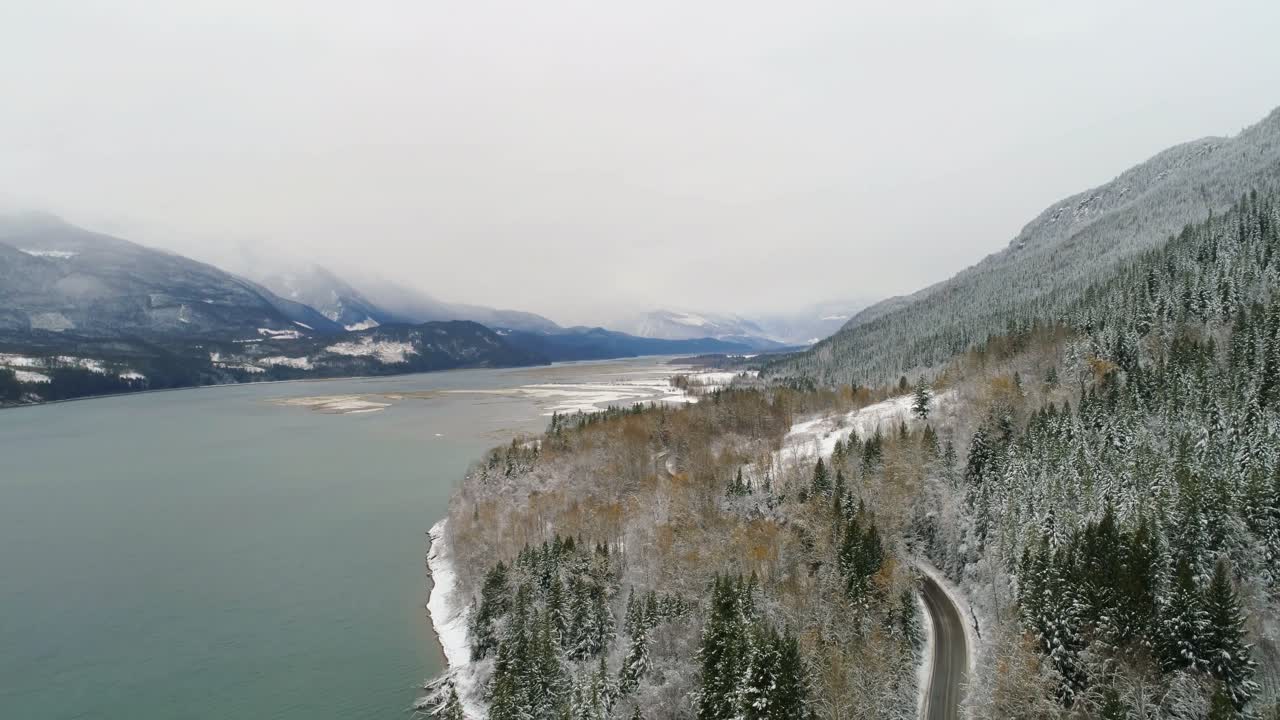 bosque de pinos en las cadenas montañosas y el río 4k