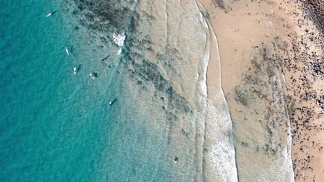 Vista-Aérea-De-Surfistas-En-El-Océano-De-Noosa-Shire,-Queensland,-Australia---Disparo-De-Drone