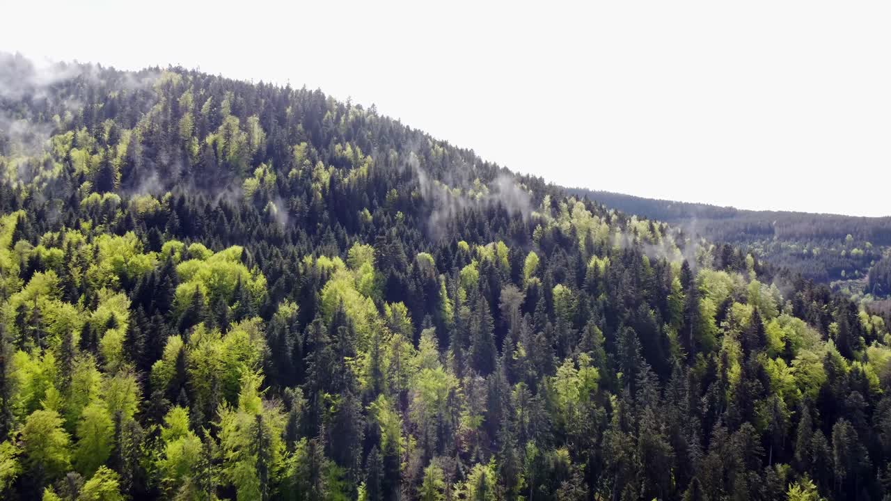 Aerial slow fly over green moody spring forest with clouds and fog