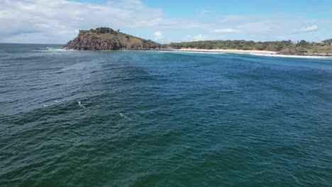 Große-Tümmler-Schwimmen-Im-Malerischen-Ozean-In-Norries-Head,-New-South-Wales,-Australien-–-Drohnenaufnahme-Aus-Der-Luft