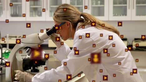 animación de la red de conexiones sobre la ciencia mundial de las mujeres científicas