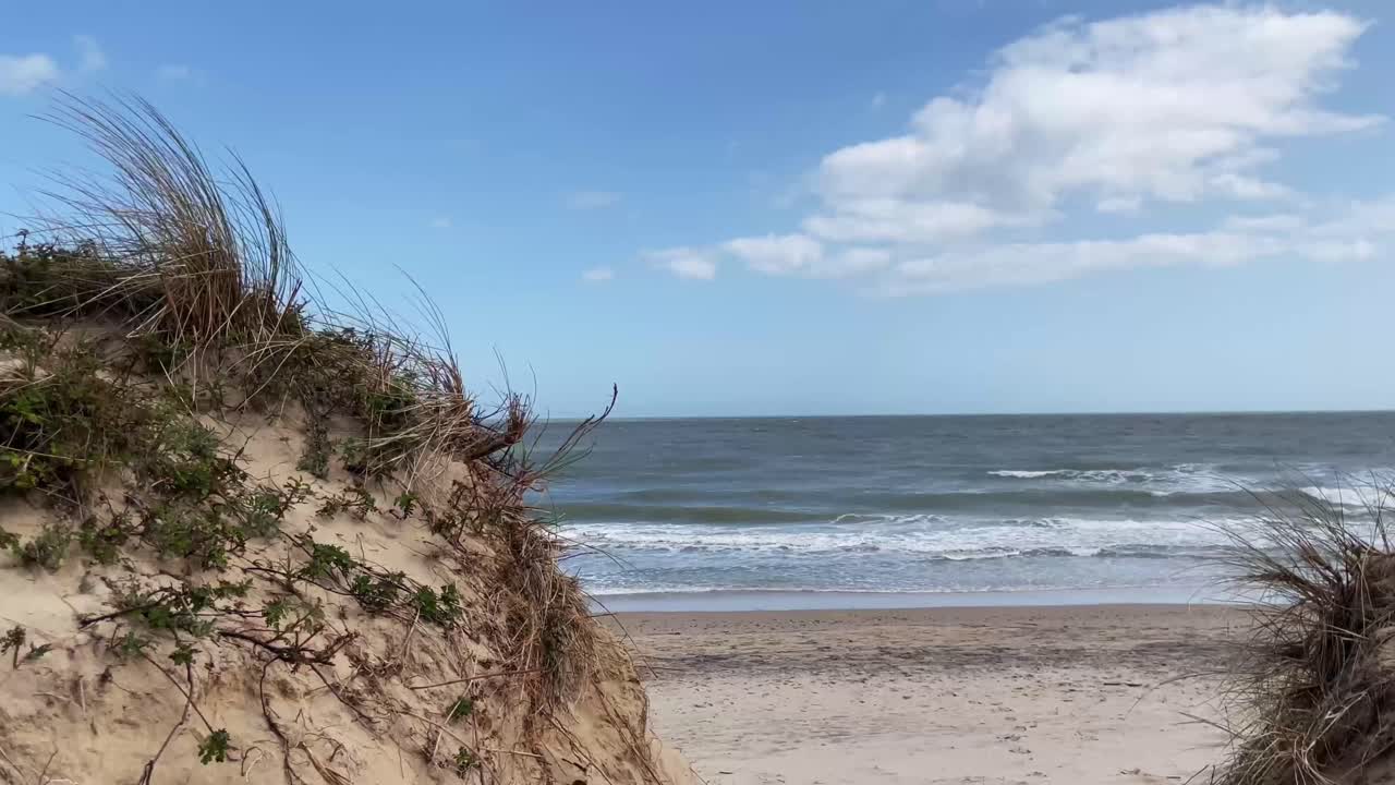 잔디 와 모래 가 있는 아일랜드 해변