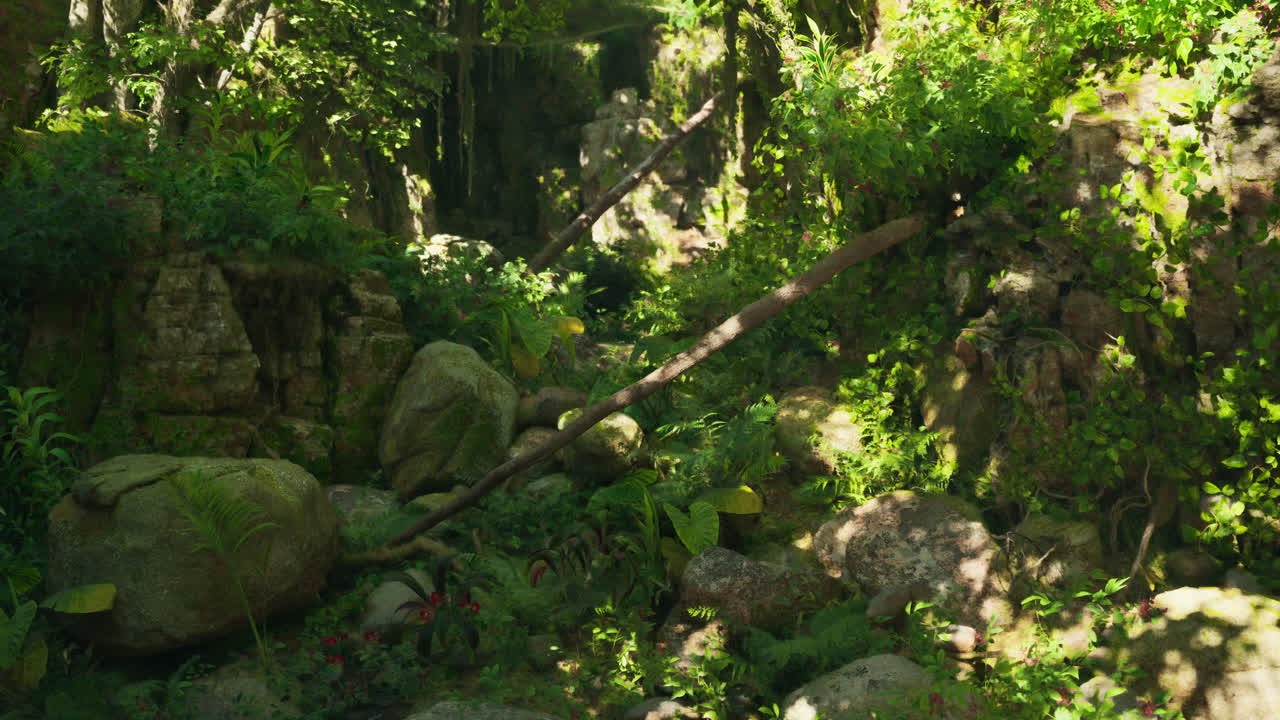 고대 유적 들 이 있는 울창 한 정글 풍경