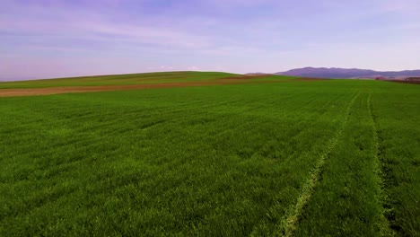 Antena-Sobre-Campos-Agrícolas-Cultivados-En-Europa-Oriental