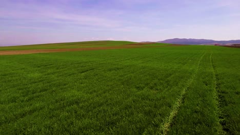 antena sobre campos agrícolas cultivados en europa del este