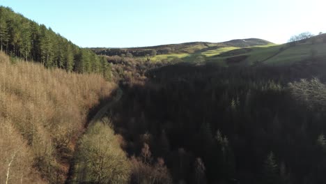 Coed-Llangwyfan-Galés-Woodland-Valley-Parque-Nacional-Vista-Aérea-Amanecer-Campo