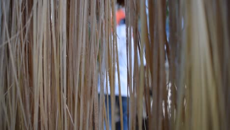 abaca stripper stripping abaca fibers in front of abaca fibers