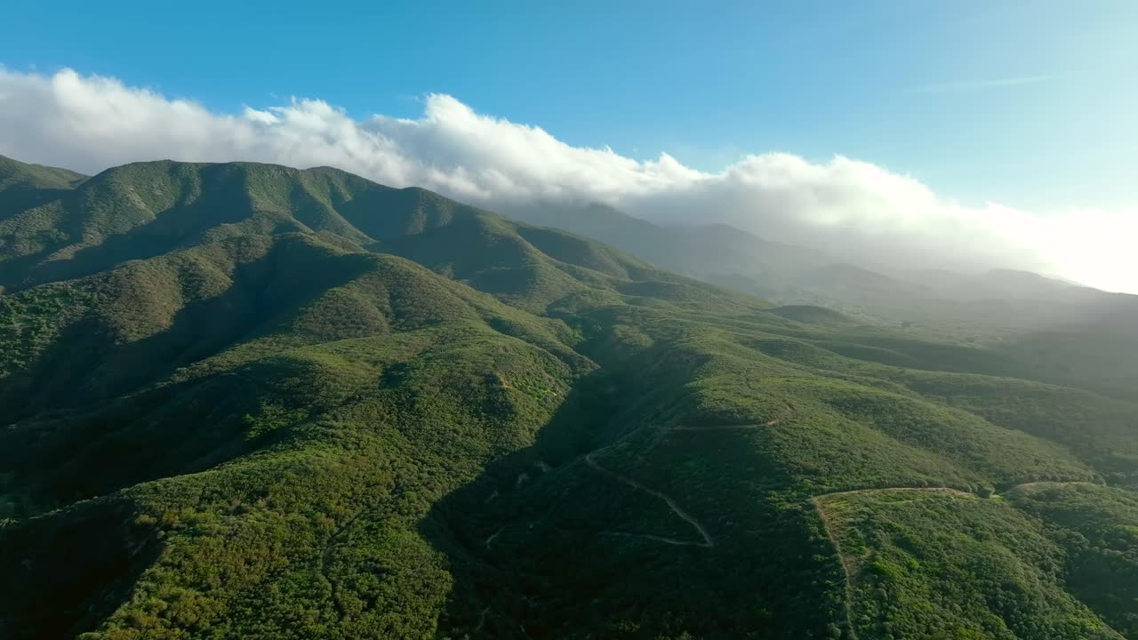 Clouds Blanketing The Peak Of Palomar Mountain At The Peninsular Ranges In California. Aerial Flyover