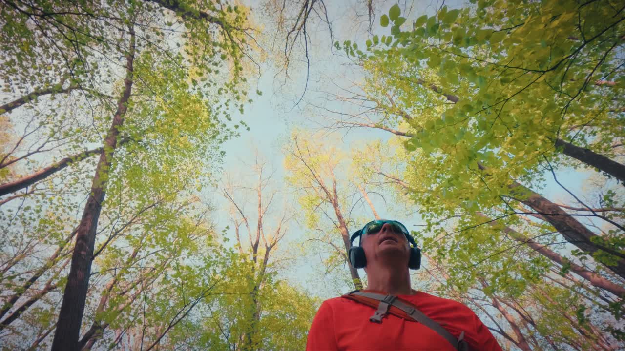 Inquadratura dal basso di un uomo maturo attivo sulla cinquantina che guarda in alto verso la fitta chioma verde della foresta. Concetto di escursionismo consapevole, connessione con la natura e sollievo per la salute mentale. Qualità 4k