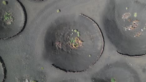 cráteres volcán cultivado agrícolamente