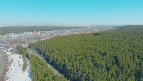 Hermoso-Bosque-De-Pinos-Verdes-Bordea-La-Gran-Ciudad.