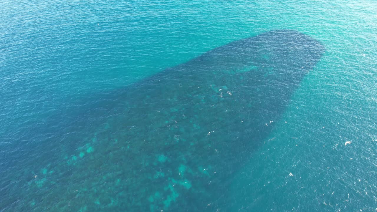 핑갈 헤드랜드 와  ⁇  섬 - 타스만 해 - 뉴 사우스 웨일스 - nsw - 오스트레일리아 - 믿을 수 없는 바다 - 공중 촬영