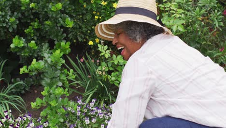Porträt-Einer-älteren-Afroamerikanischen-Frau-Mit-Gartenhandschuhen,-Die-Blumen-Im-Garten-Pflanzt