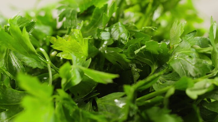 Fresh Parsley