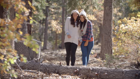 Una-Pareja-De-Lesbianas-Disfruta-De-Un-Paseo-Tomados-De-La-Mano-En-Un-Bosque.