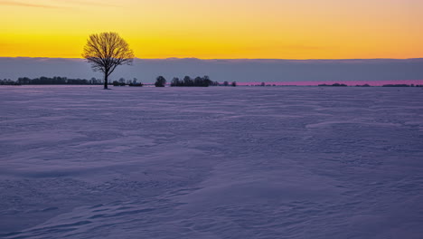 paisaje nevado de invierno