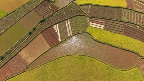 aerial views of the rural countryside with colourful rice fields in madagascar