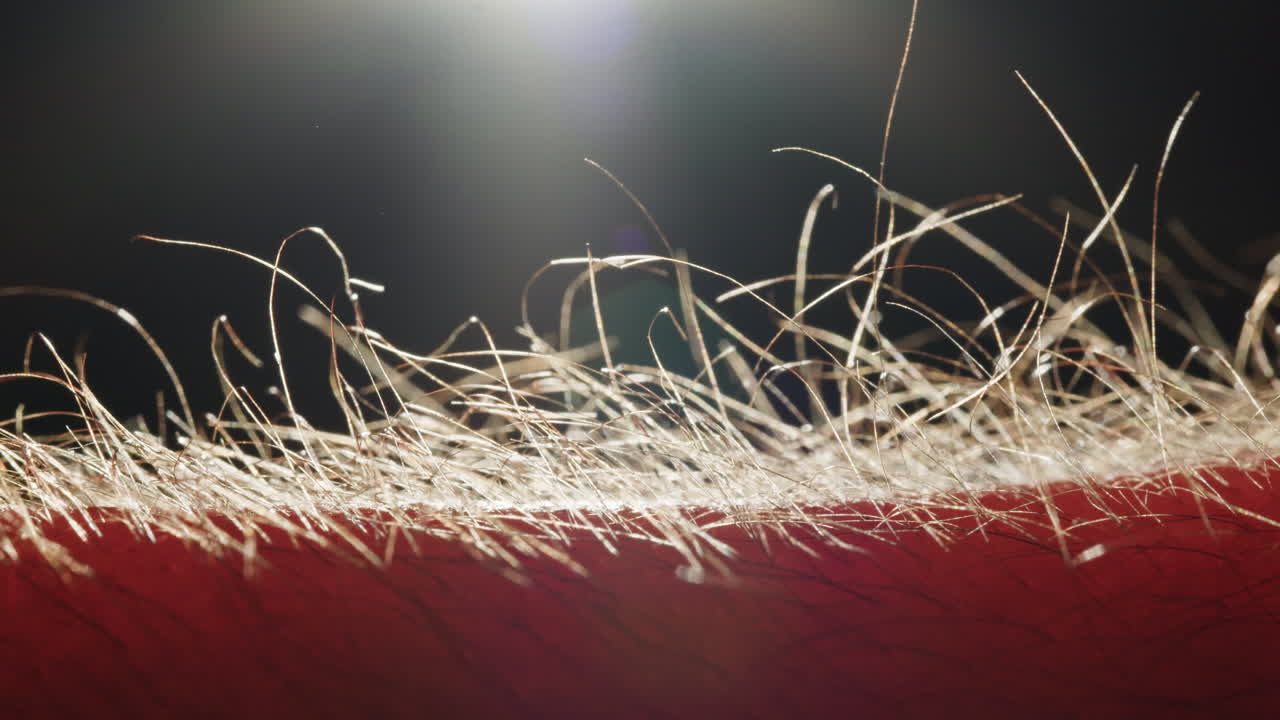 Close-up of short hairs on skin