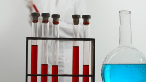 laboratory experiment with test tubes and beaker