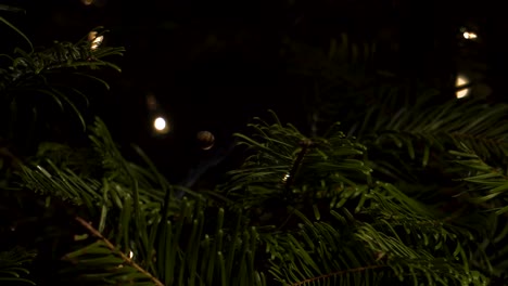 primer plano panorámico de agujas de pino y luces en un árbol de navidad