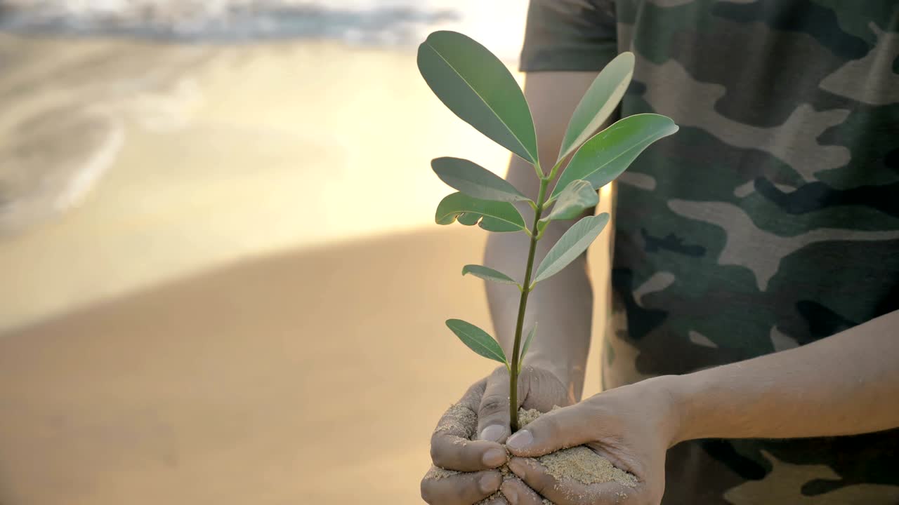 un joven o un voluntario masculino sosteniendo una pequeña planta verde