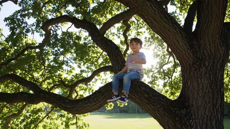 a young boy sitting on a large tree branch in a park