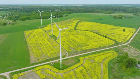 Aerial-establishing-view-of-wind-turbines-generating-renewable-energy-in-the-wind-farm,-blooming-yellow-rapeseed-fields,-countryside-landscape,-sunny-spring-day,-wide-drone-shot-moving-backward