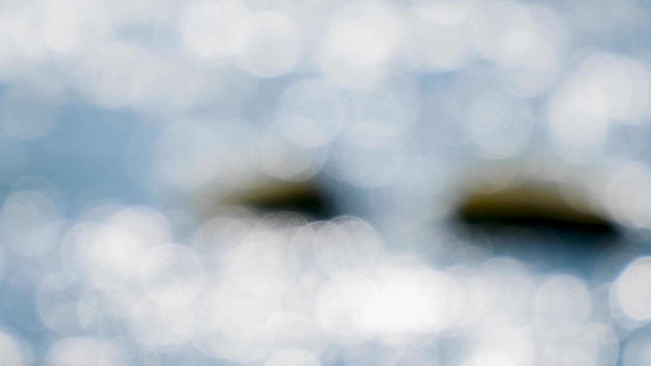 4k의 아름다운 보케와 빛  (푸른색과 색)