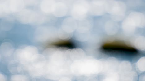 4k hermoso bokeh y haces de luz (azul y blanco)