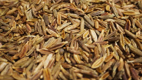 cumin or jeera seeds rotating close-up. seasoning cumin or jeera. spice for food. high quality 4k footage