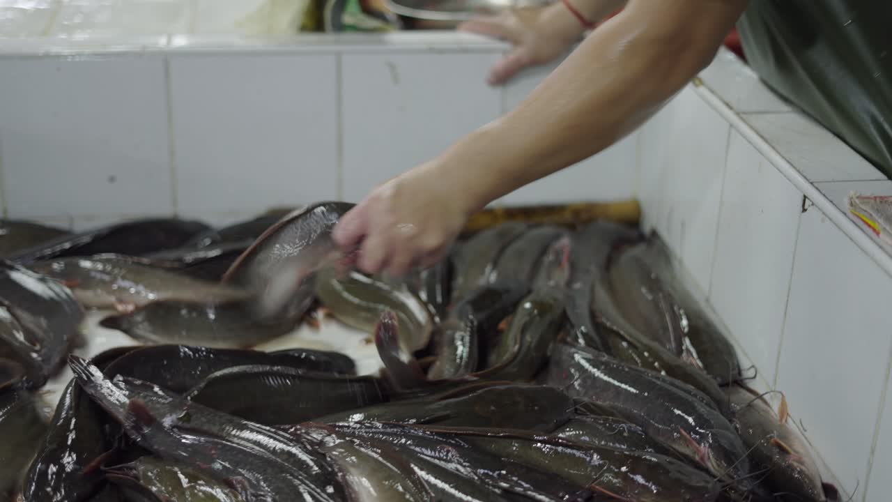 Fishmonger at a Market Preparing Catfish