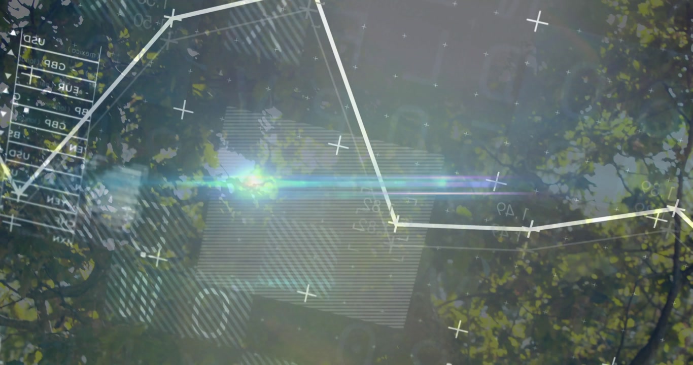White polyline graph overlaying tree canopy featuring plus icons transparent world map wireframe